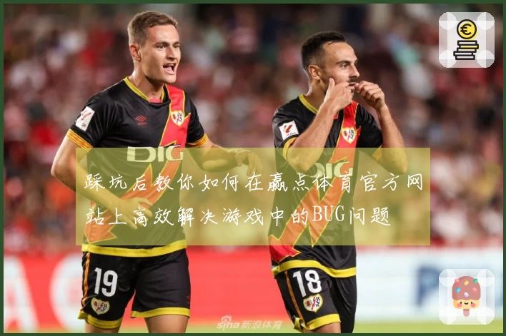 踩坑后教你如何在赢点体育官方网站上高效解决游戏中的BUG问题