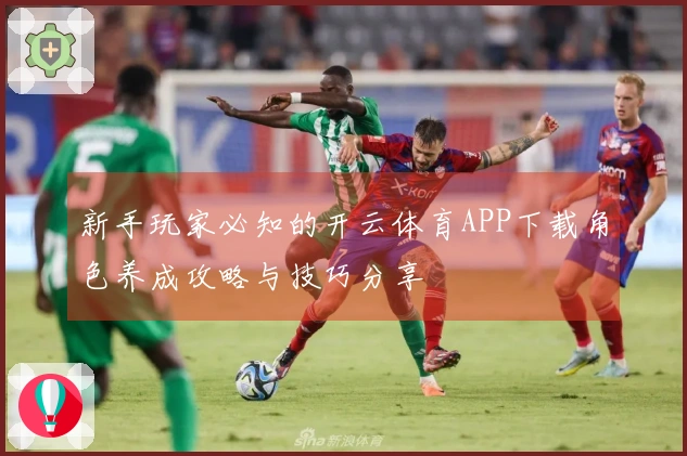 新手玩家必知的开云体育APP下载角色养成攻略与技巧分享