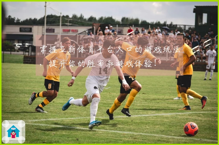 掌握亚新体育平台入口的游戏玩法，提升你的胜率和游戏体验！
