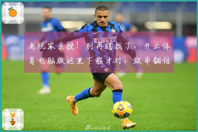 老玩家亲授！别再瞎找了，开云体育电脑版这里下载才对，效率翻倍！